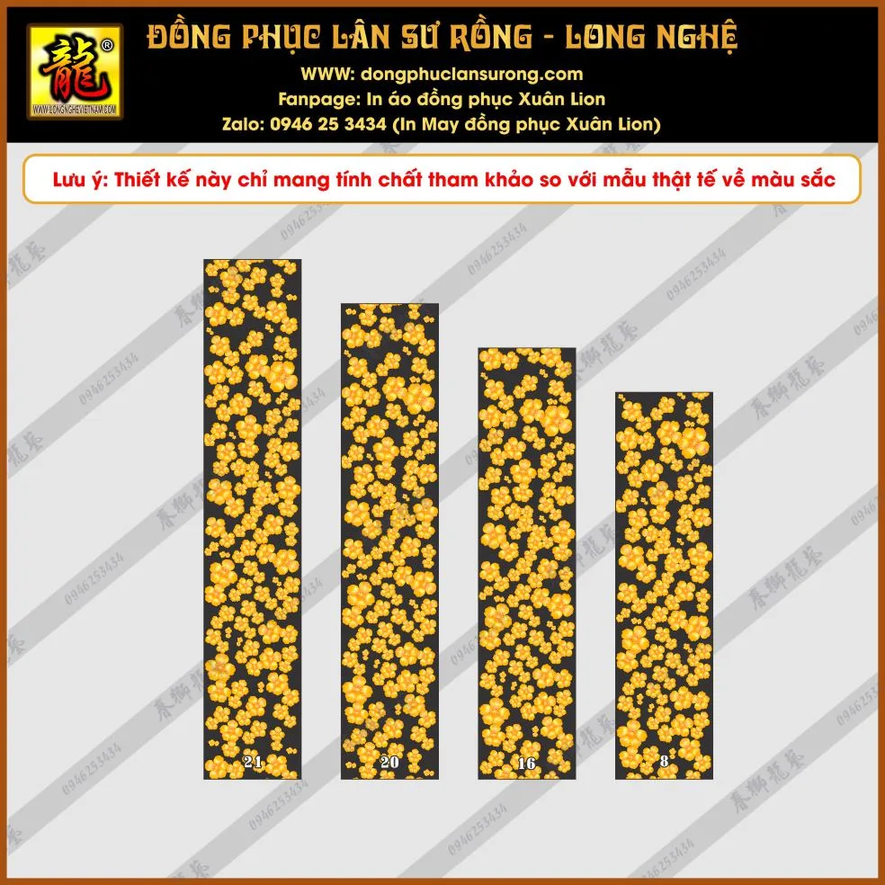 BỌC CHÀNH - MHT MÚA LÂN SƯ RỒNG 10
